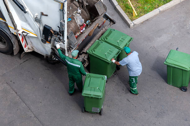 Yard Cleanup Services in Chevy Chase, MD